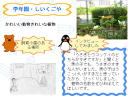 wNE珬